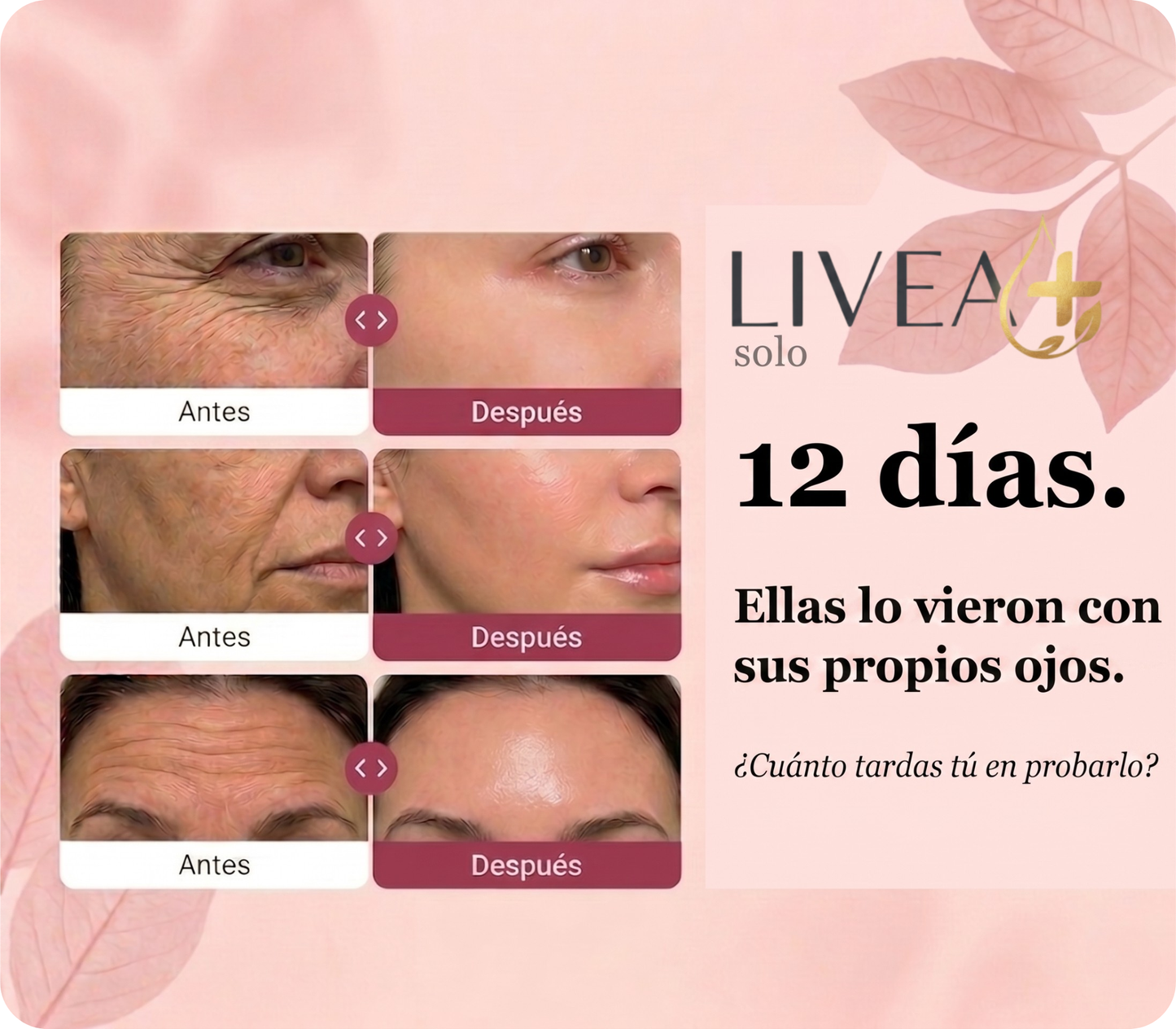 LIVEA+| Crema Gelatina De Colágeno y Niacinamida